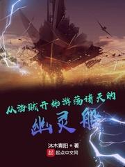 从海贼开始游荡诸天的幽灵船封面