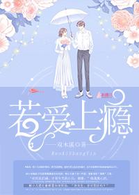 若爱上瘾封面