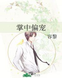 掌中偏宠封面