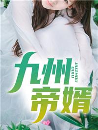 九州帝婿封面