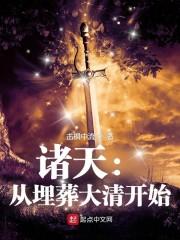 诸天：从埋葬大清开始封面