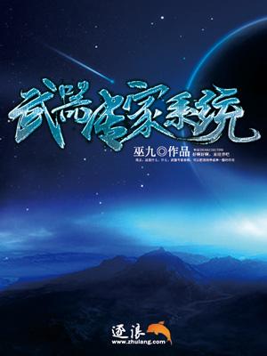 武器专家系统封面
