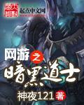 网游之暗黑道士封面