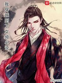 我穿越到了女频小说四维小贼封面