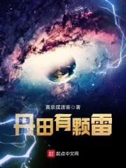 丹田有颗雷封面