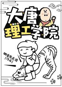 大唐理工学院封面