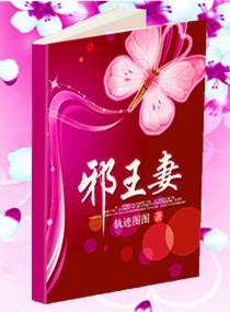 邪王妻封面