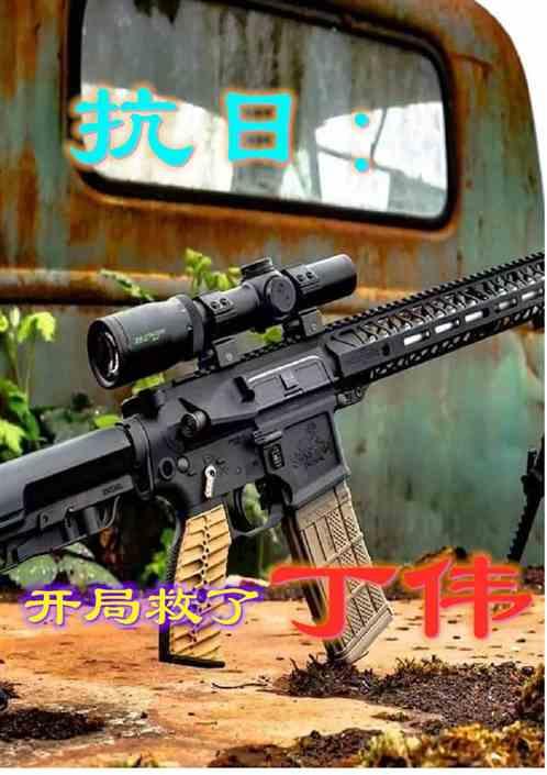 抗日：开局救了丁伟封面