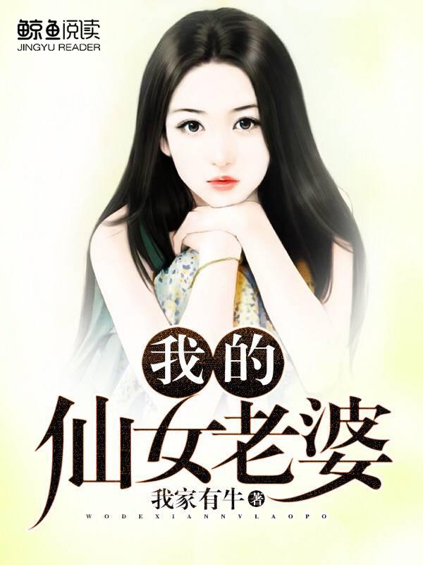 我的仙女老婆封面