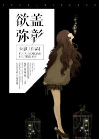 欲盖弥彰封面