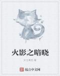 火影之暗晓封面