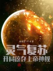 开局掠夺上帝神权封面