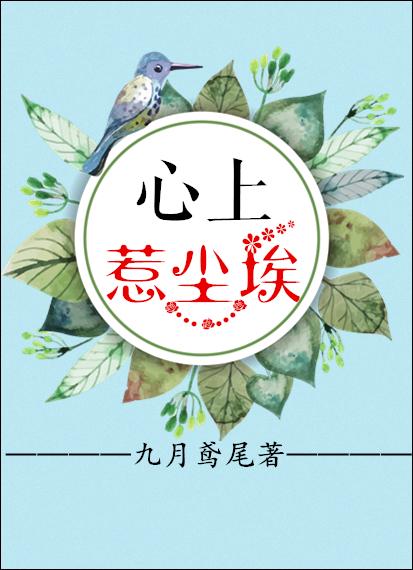 心上惹尘埃封面
