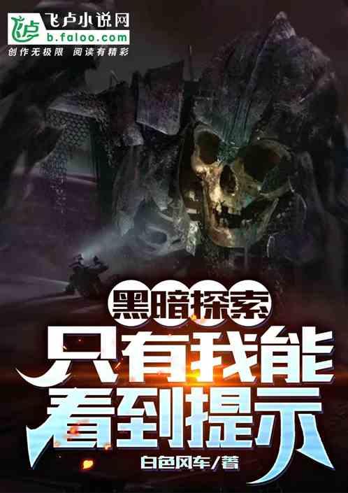 黑暗探索：只有我能看到提示！封面