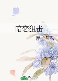 暗恋狙击封面