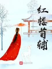 红楼首辅封面