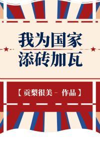 我为国家添砖加瓦封面