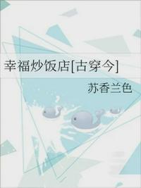 幸福炒饭店[古穿今]封面