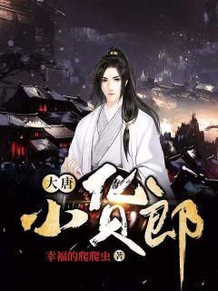 大唐小货郎封面