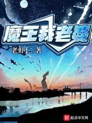 魔王我老婆封面