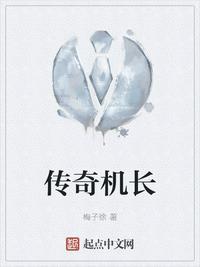 传奇机长封面