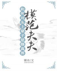 和死对头上辈子是修真界模范夫夫封面