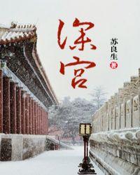深宫(女尊)封面