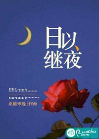 日以继夜封面