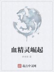 血精灵崛起封面