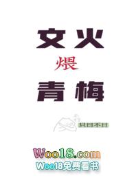 文火煨青梅(甜宠h)封面