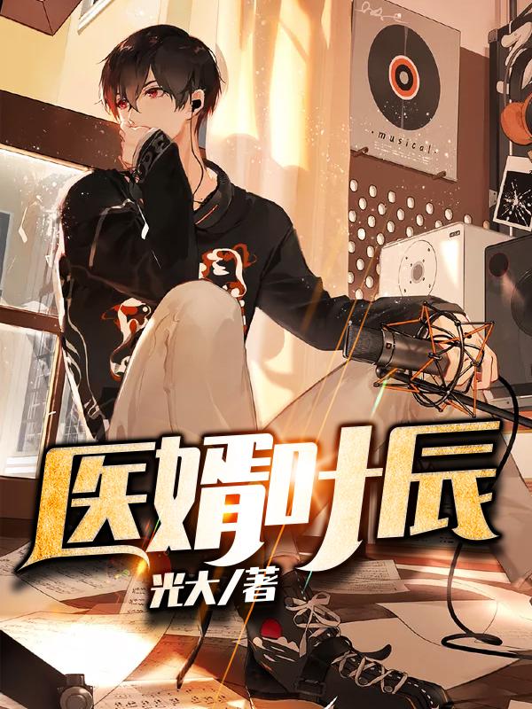 医婿叶辰封面