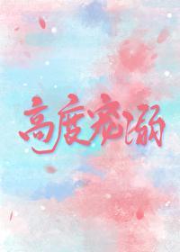高度宠溺封面