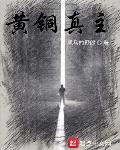 黄铜真主封面