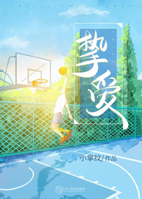 挚爱封面