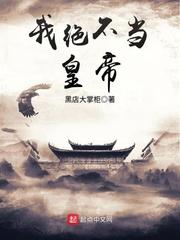 我绝不当皇帝封面