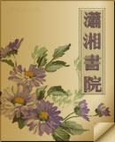 一夜弃妃封面