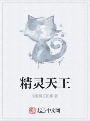 精灵天王封面