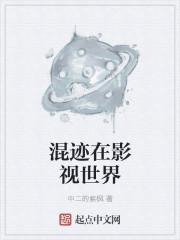 混在央视全本封面