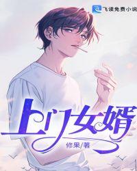 上门女婿岳飞柳萱封面