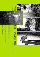愿有人陪你颠沛流离封面