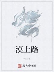 漠上路封面