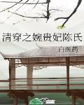 清穿之婉贵妃陈氏封面
