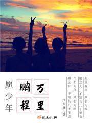 愿少年鹏程万里封面