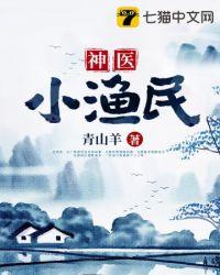 神医小渔民封面