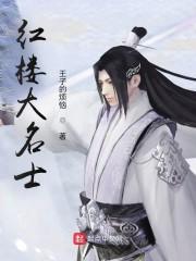 红楼大名士封面