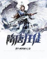 隋唐之大夏龙雀封面
