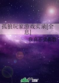 孤狼玩家游戏实录[全息]封面