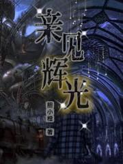 亲见辉光封面
