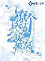 撩个校霸暖被窝封面