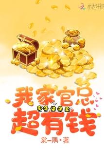 我家官总超有钱封面